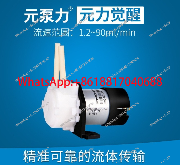 KPP-DC/DA-B08W 12v 24v DC moto - Mini Peristaltic Pump 12V recension och pris