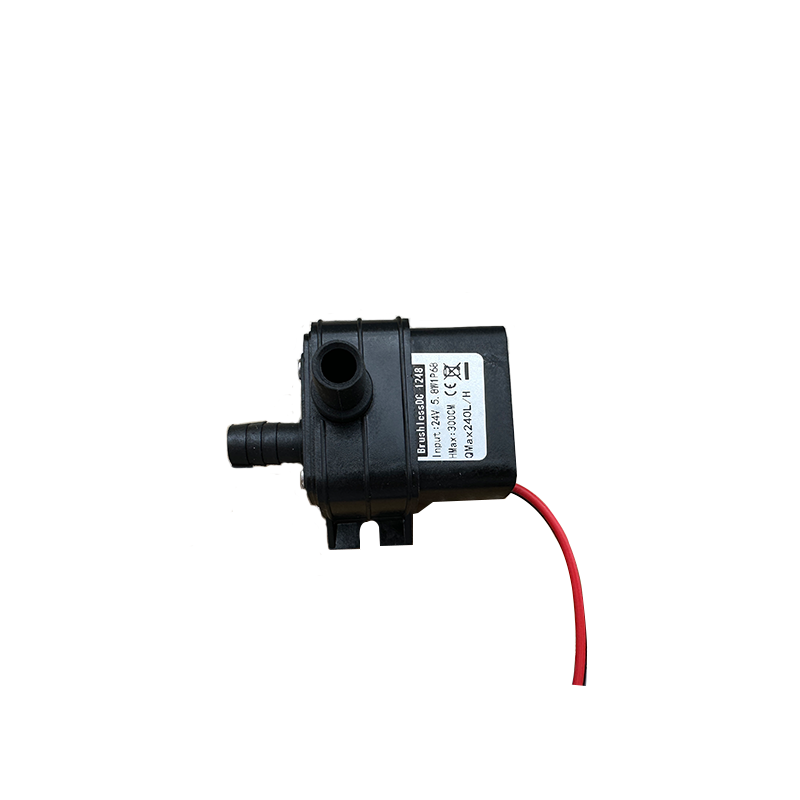 Portable DC 12V 4.8W 24V 5.8W  - Mini Peristaltic Pump 12V recension och pris